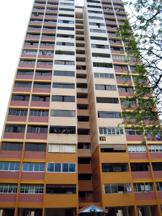 Blk 74 Telok Blangah Heights (Bukit Merah), HDB 5 Rooms #256882
